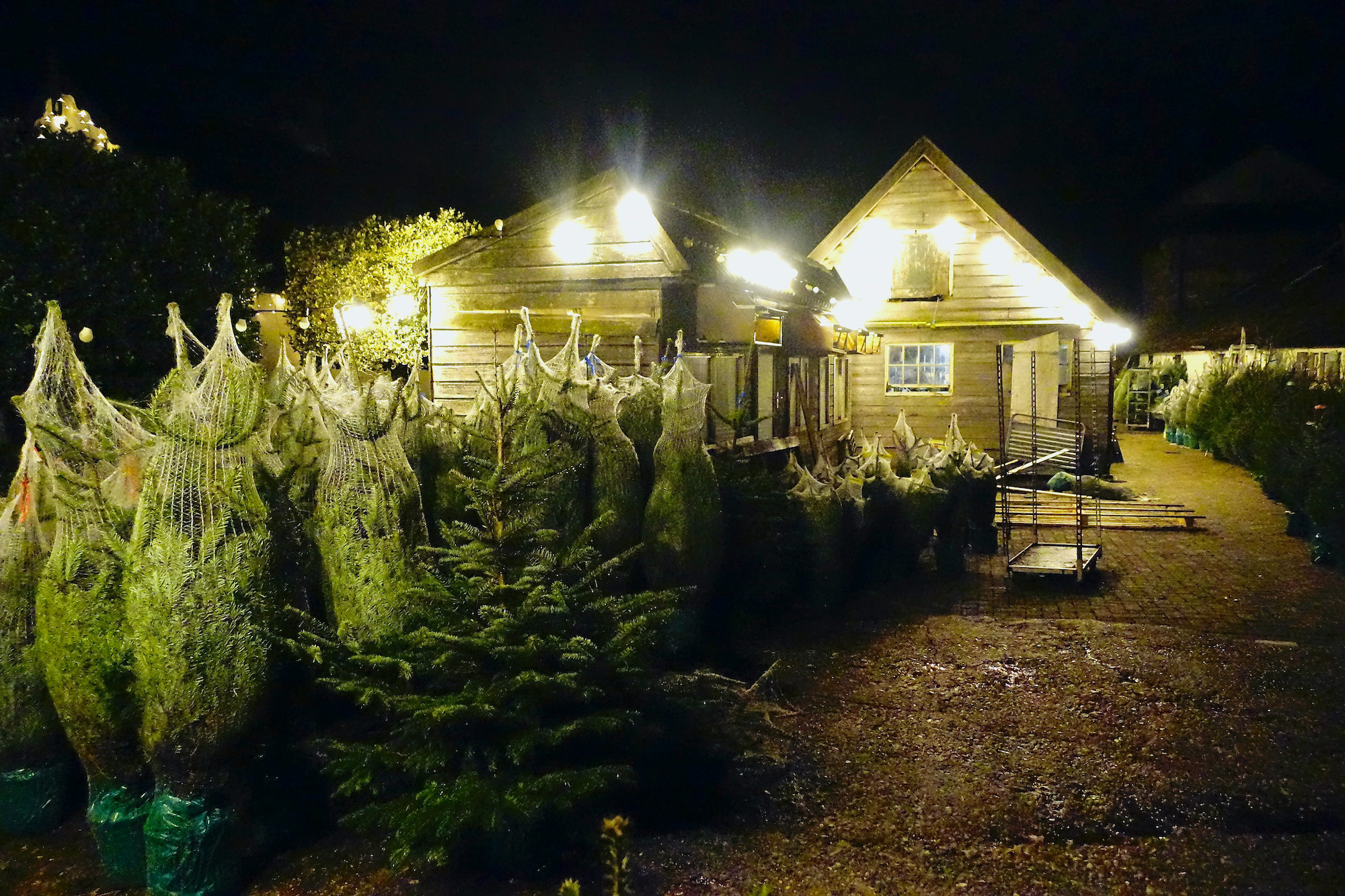 meelmuis av lichtjes 2 - 1