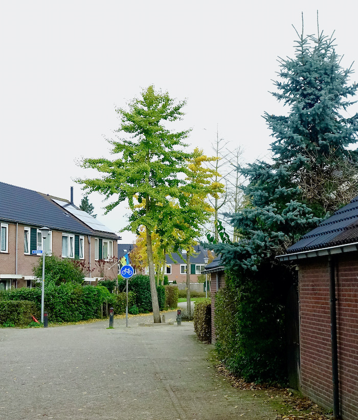 ook hier emmerrek - 1