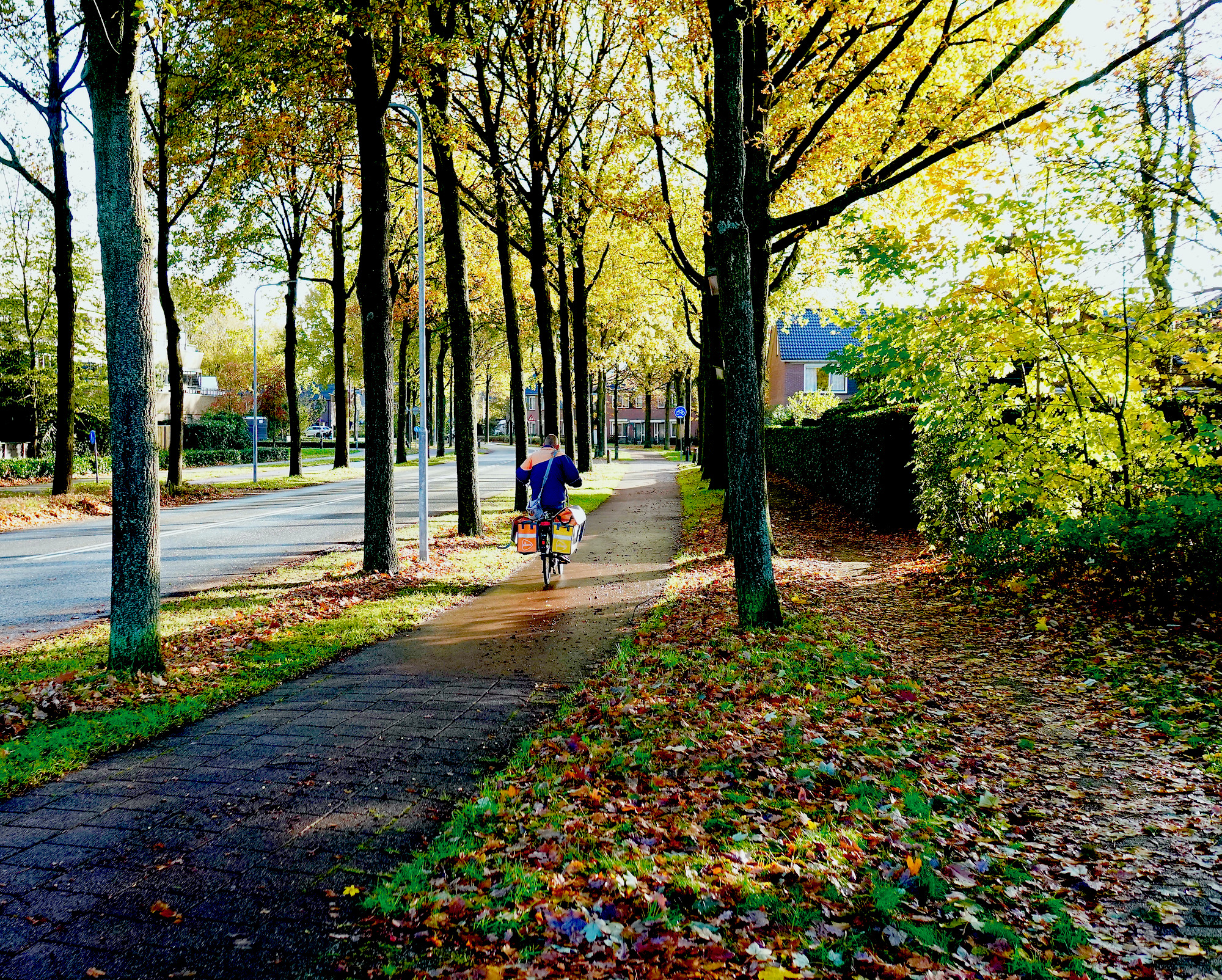 postbode herfst bijvanck - 1