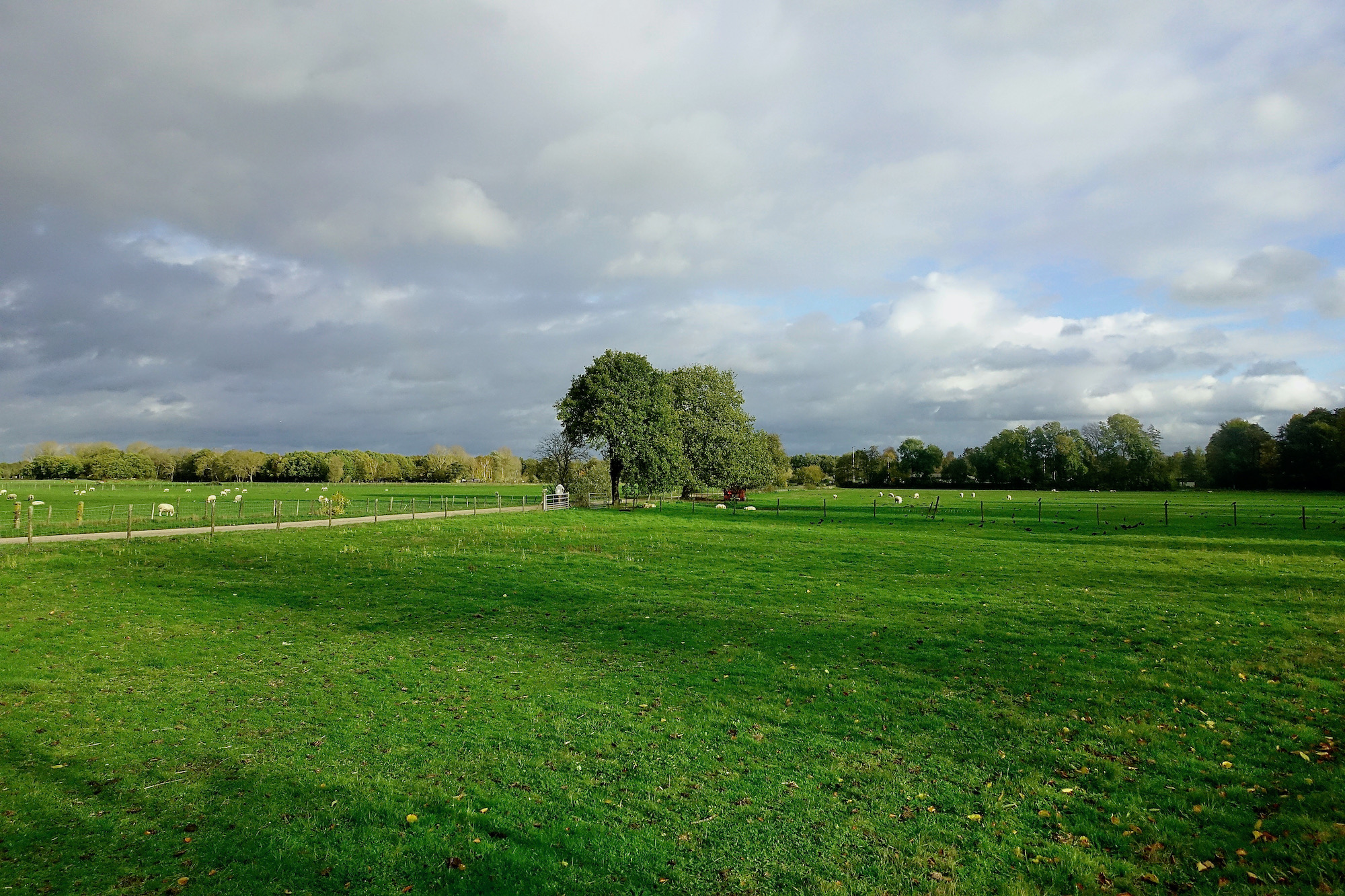 slotweg boom wolken - 1
