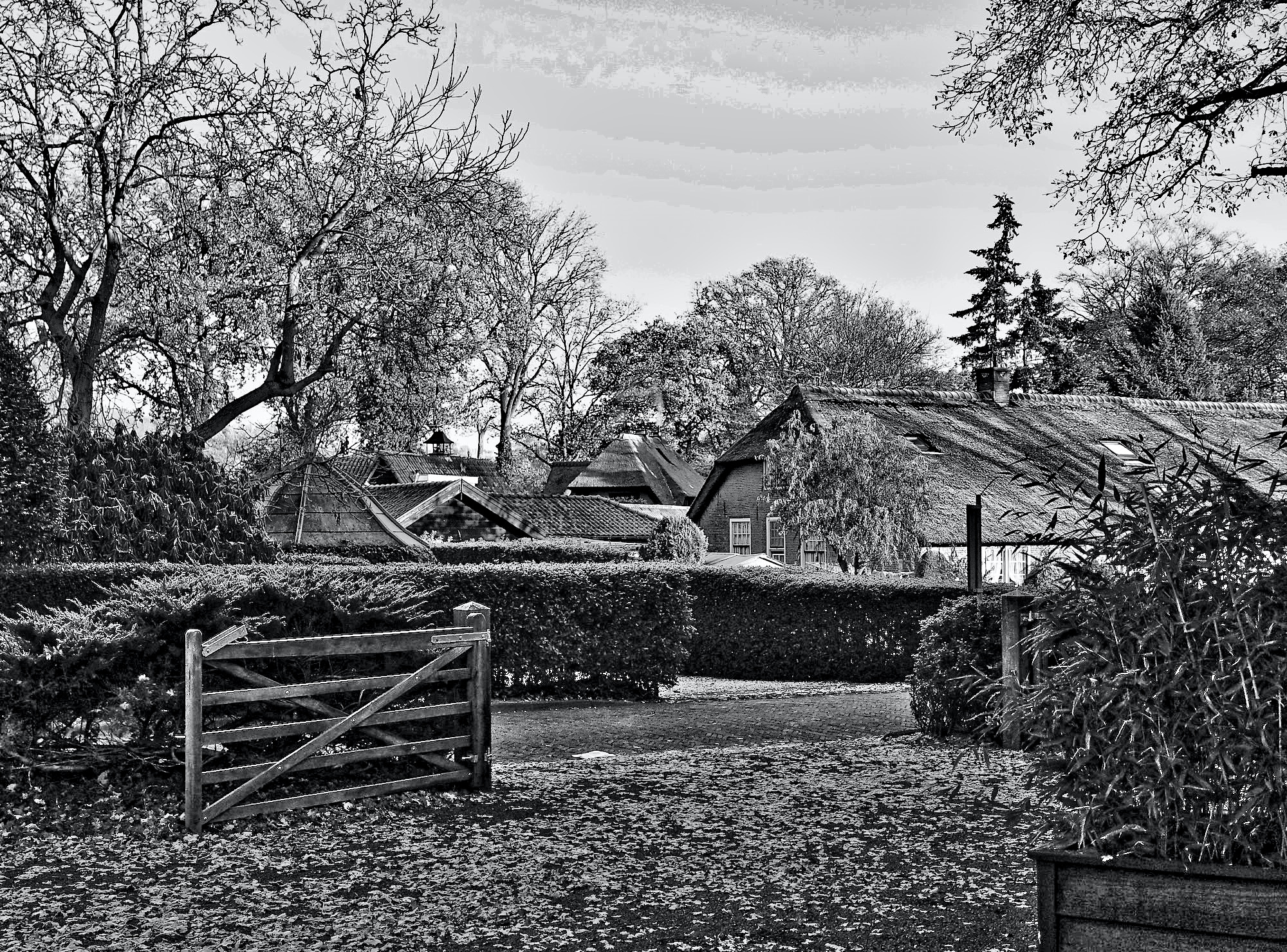 budje doorkijk bw winter - 1