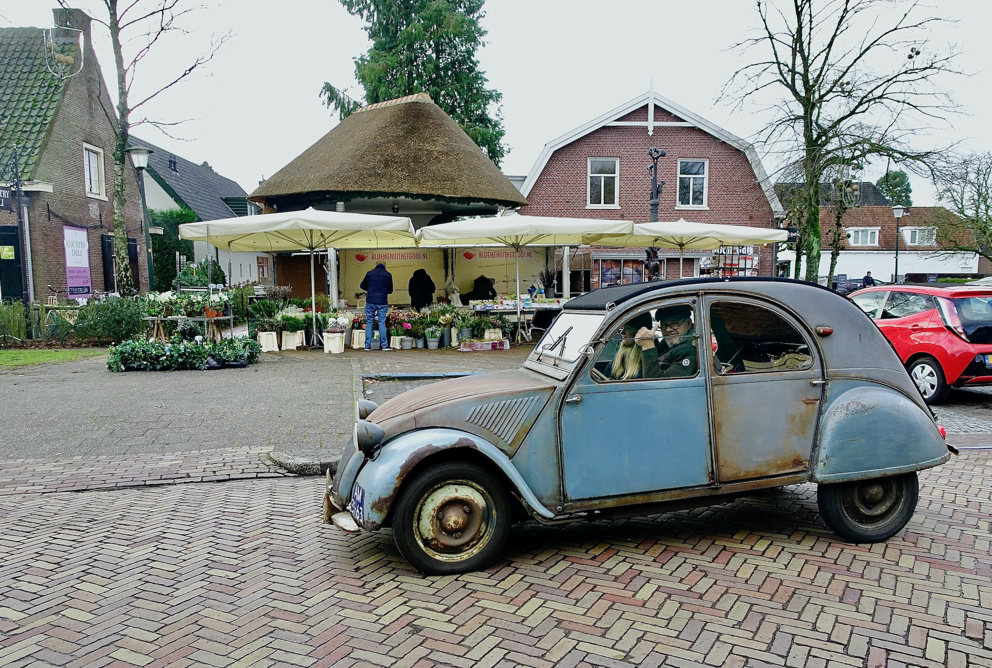 eend - dennis - 1