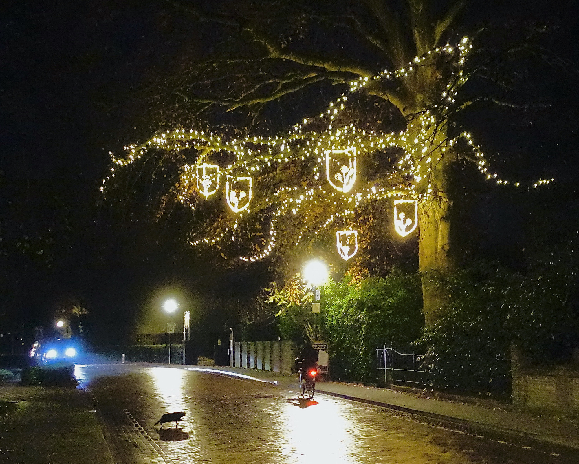 poes boom pastorie def - 1