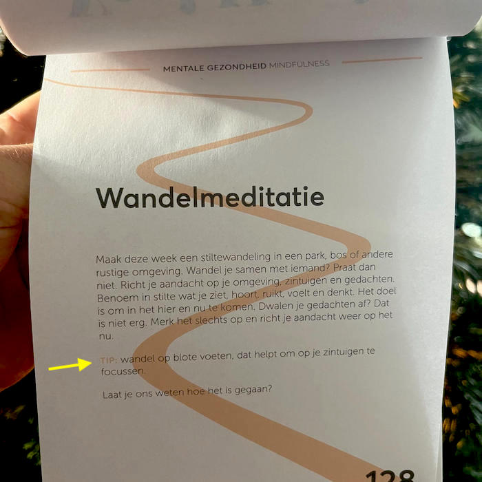 wandelmeditatie