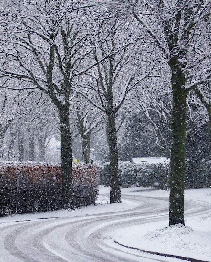 sneeuw grond 7 - 1