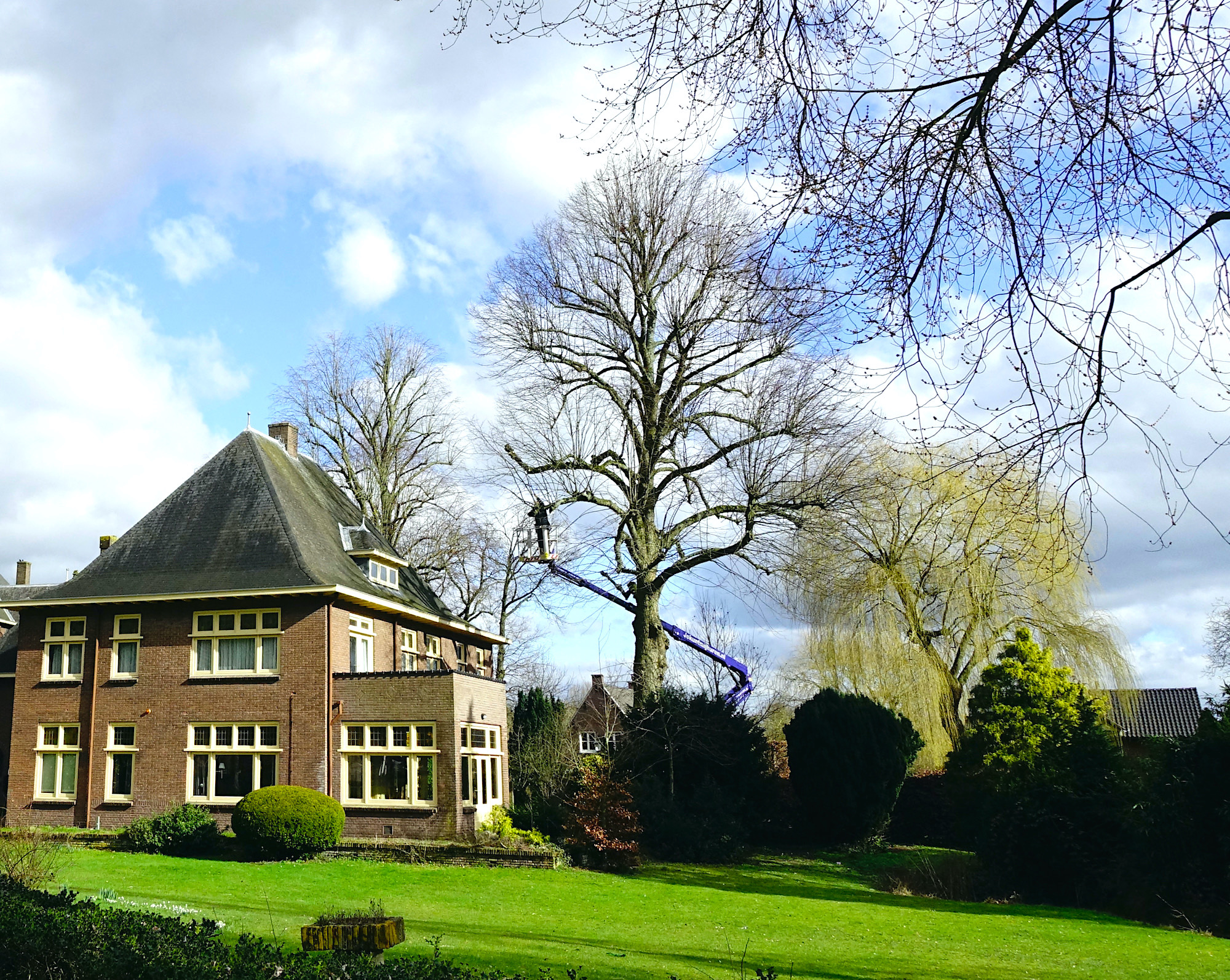 snoeien vitustuin - 1