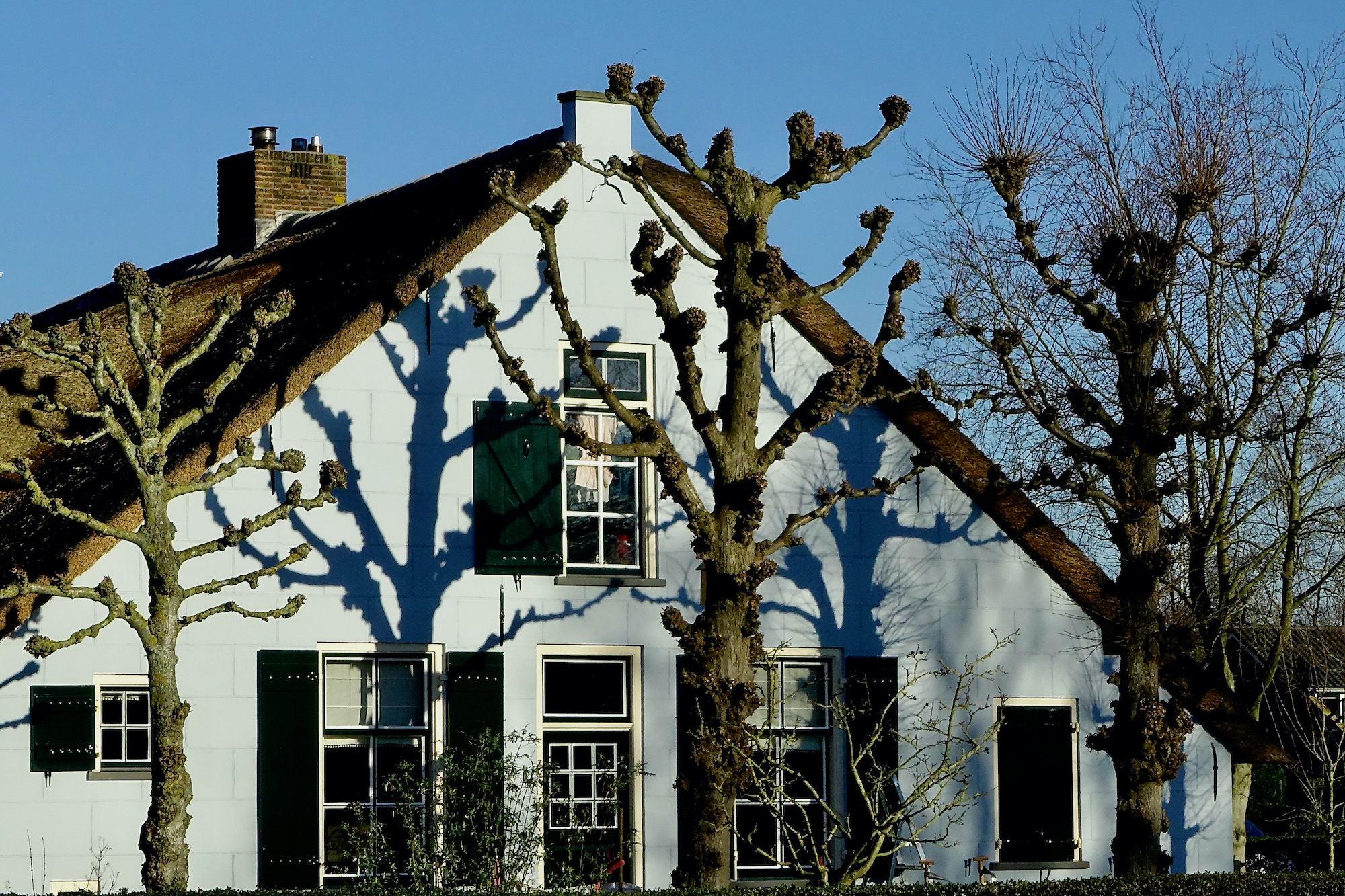 voorgevel leilindes - 1