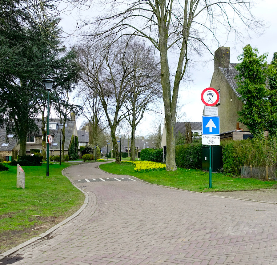 geel doorkijk - 1