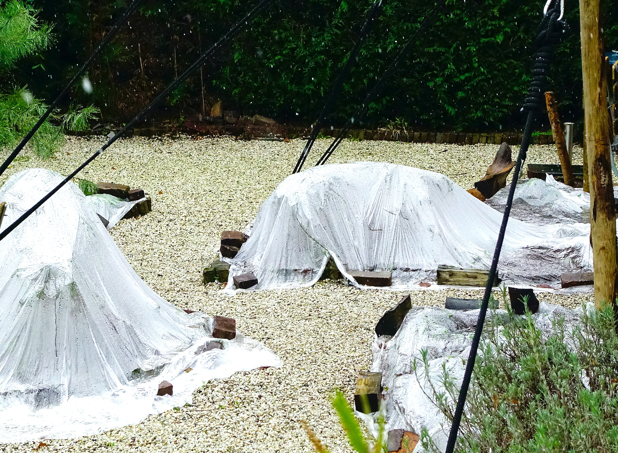 kiekeboe winter sn - 1