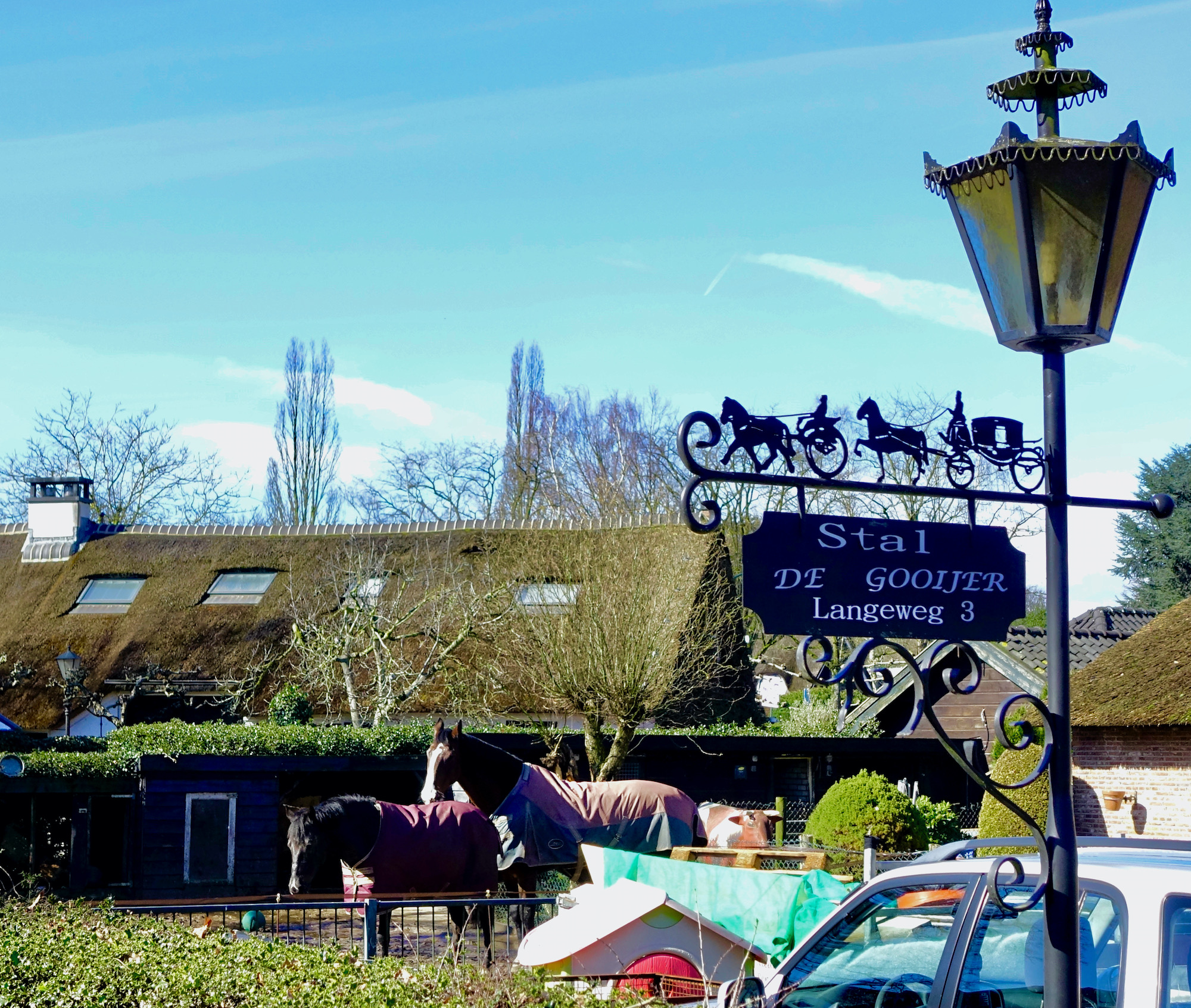 paarden bud - 1