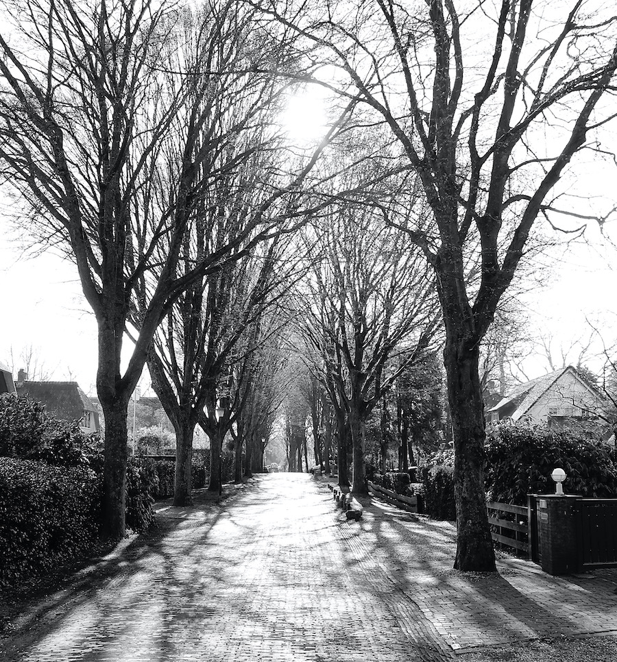 verbeekln backl bw2 - 1