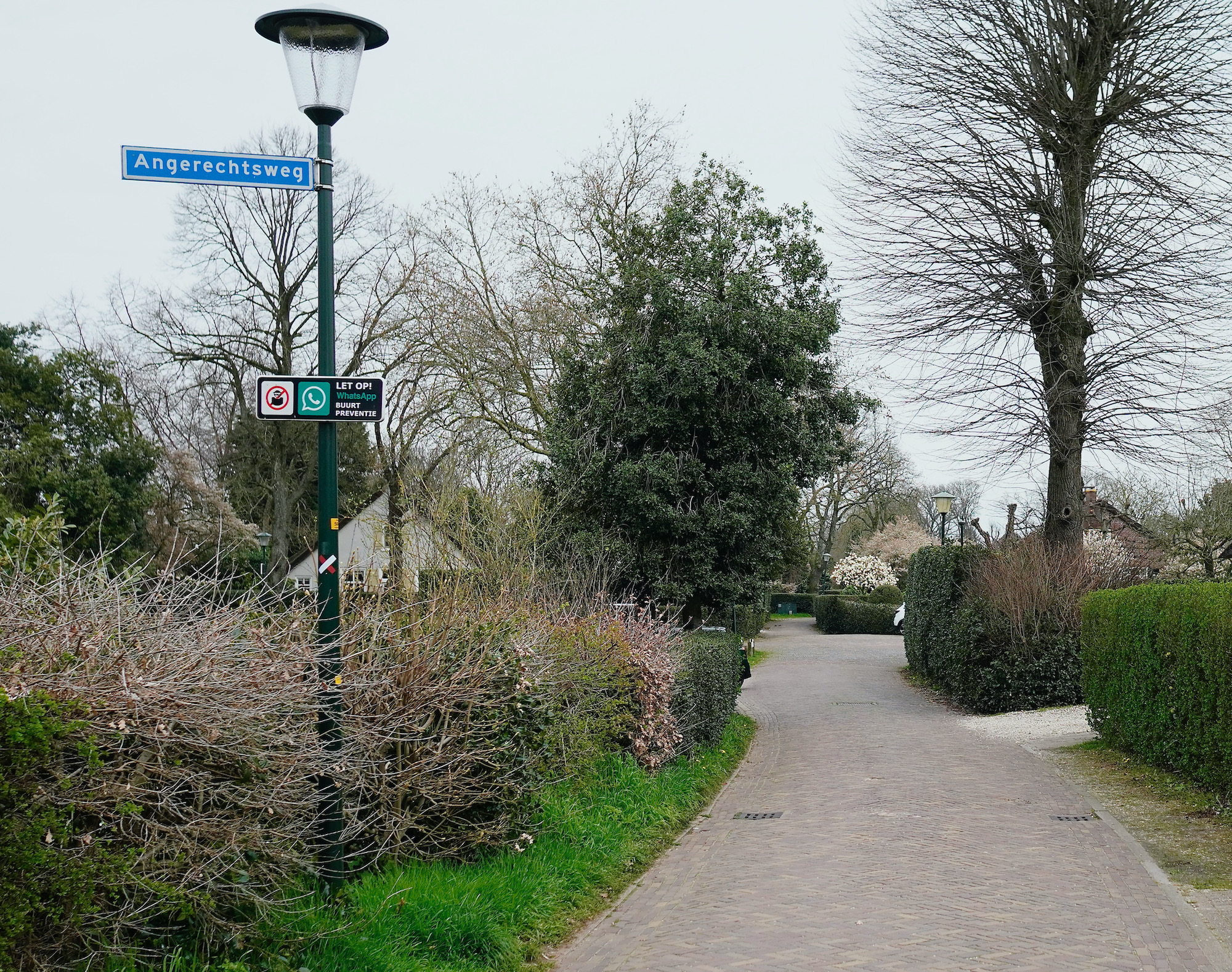 angerechts hoek bloesem - 1