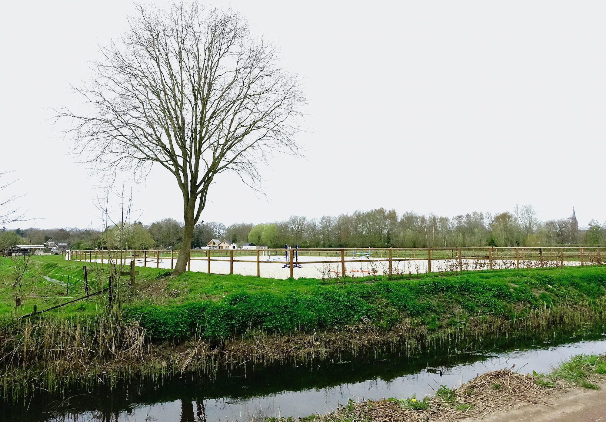 bak vos gooyergr - 1