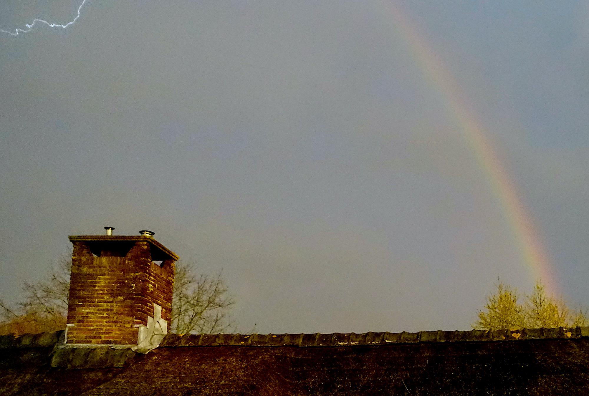 flits regenboog - 1