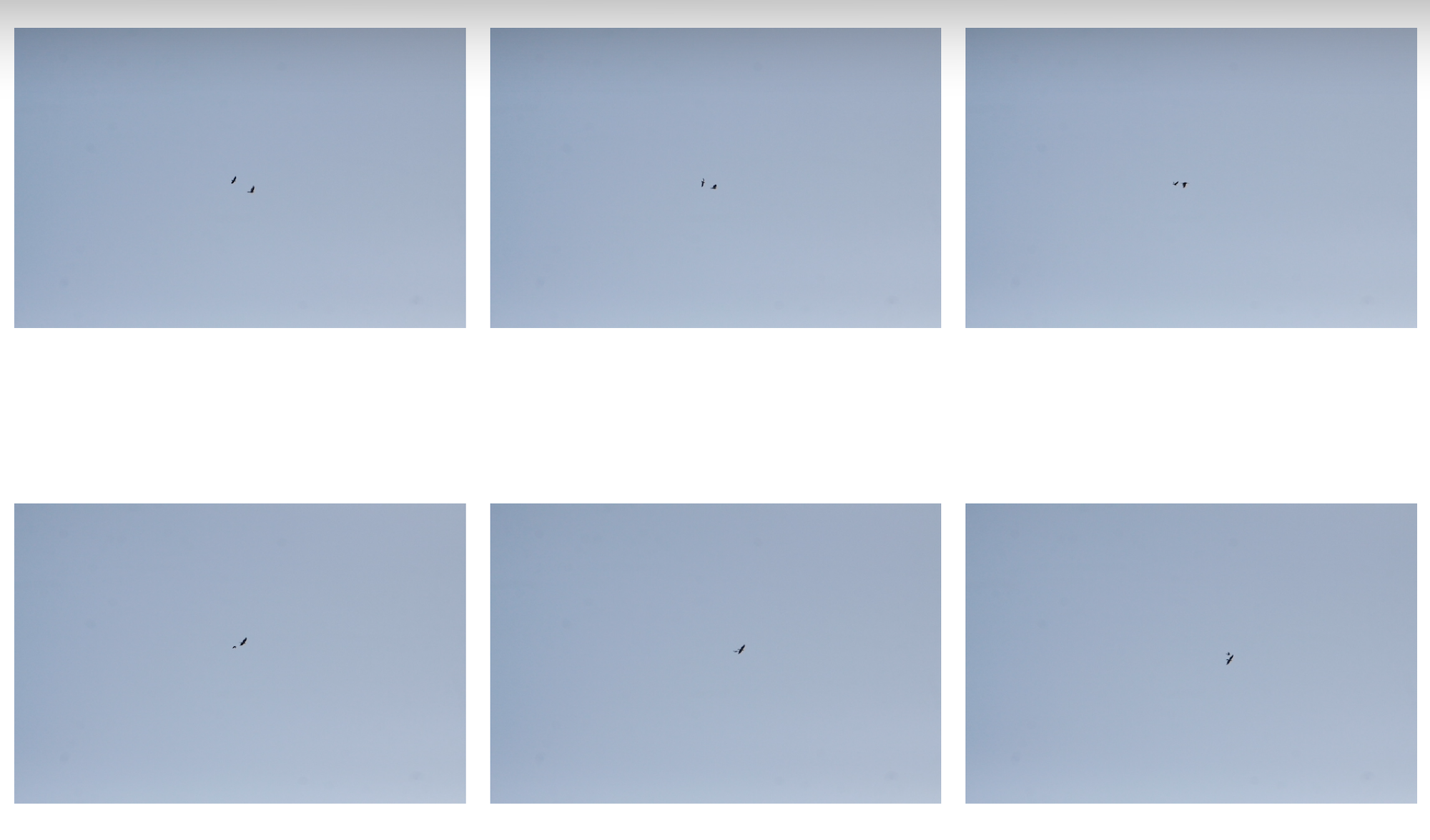 Schermafbeelding 2023-05-28 om 12.01.36