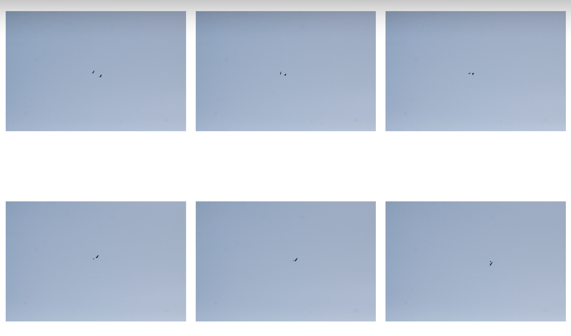 Schermafbeelding 2023-05-28 om 12.01.36