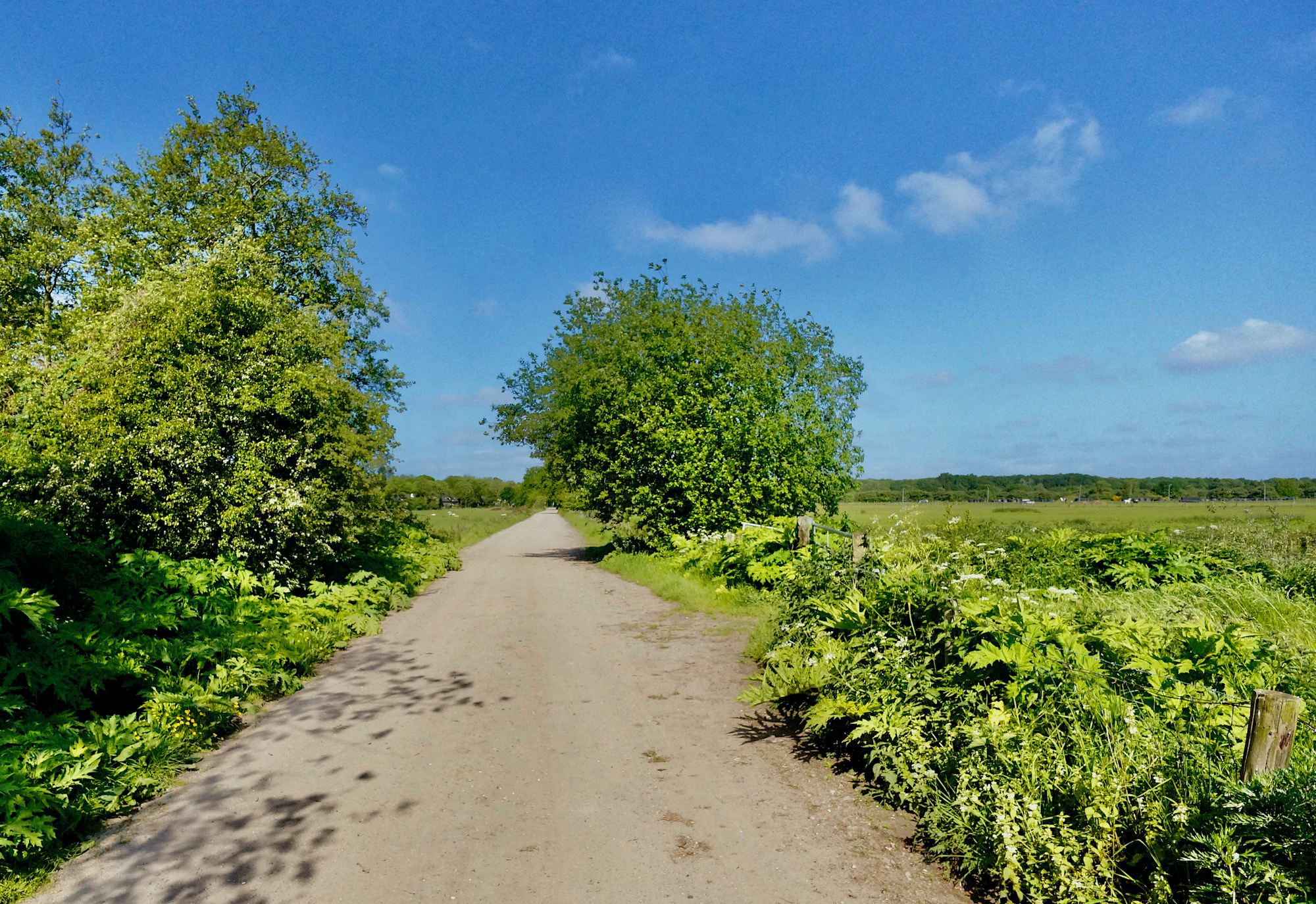 slotweg zon westwaarts - 1