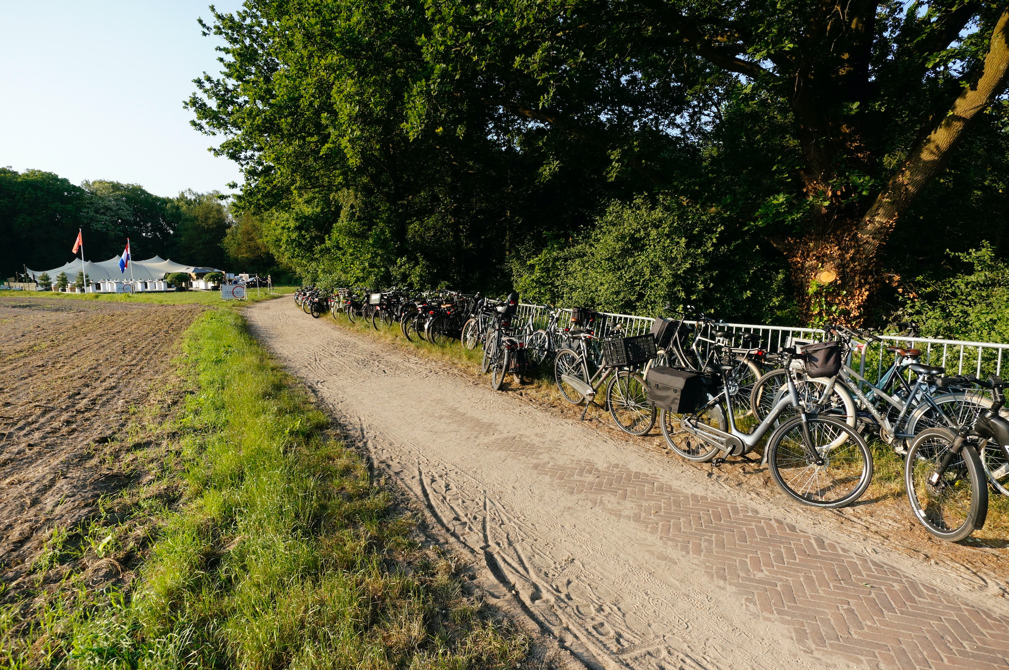 asp blar avond fietsen - 1