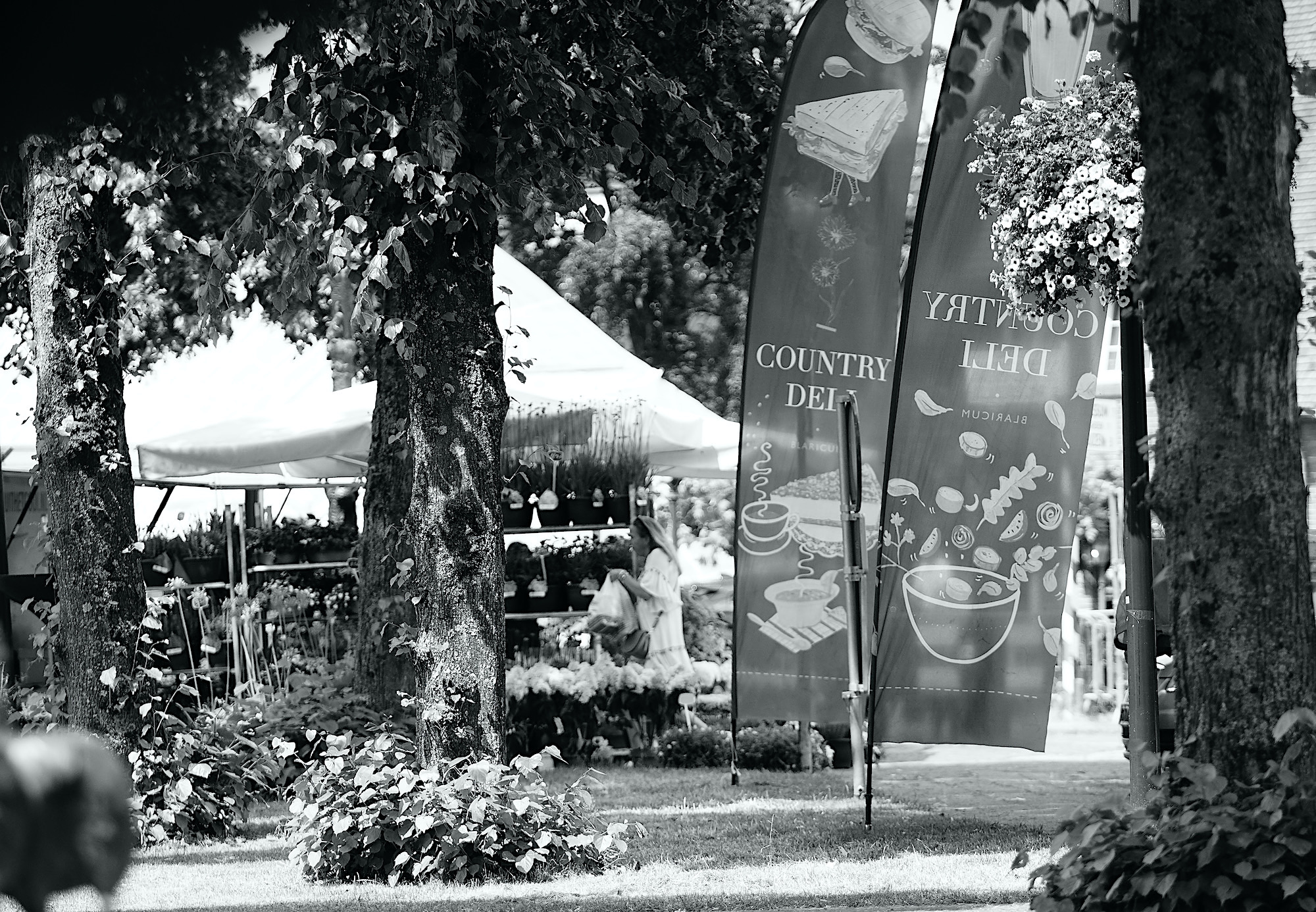 country banners bw - 1