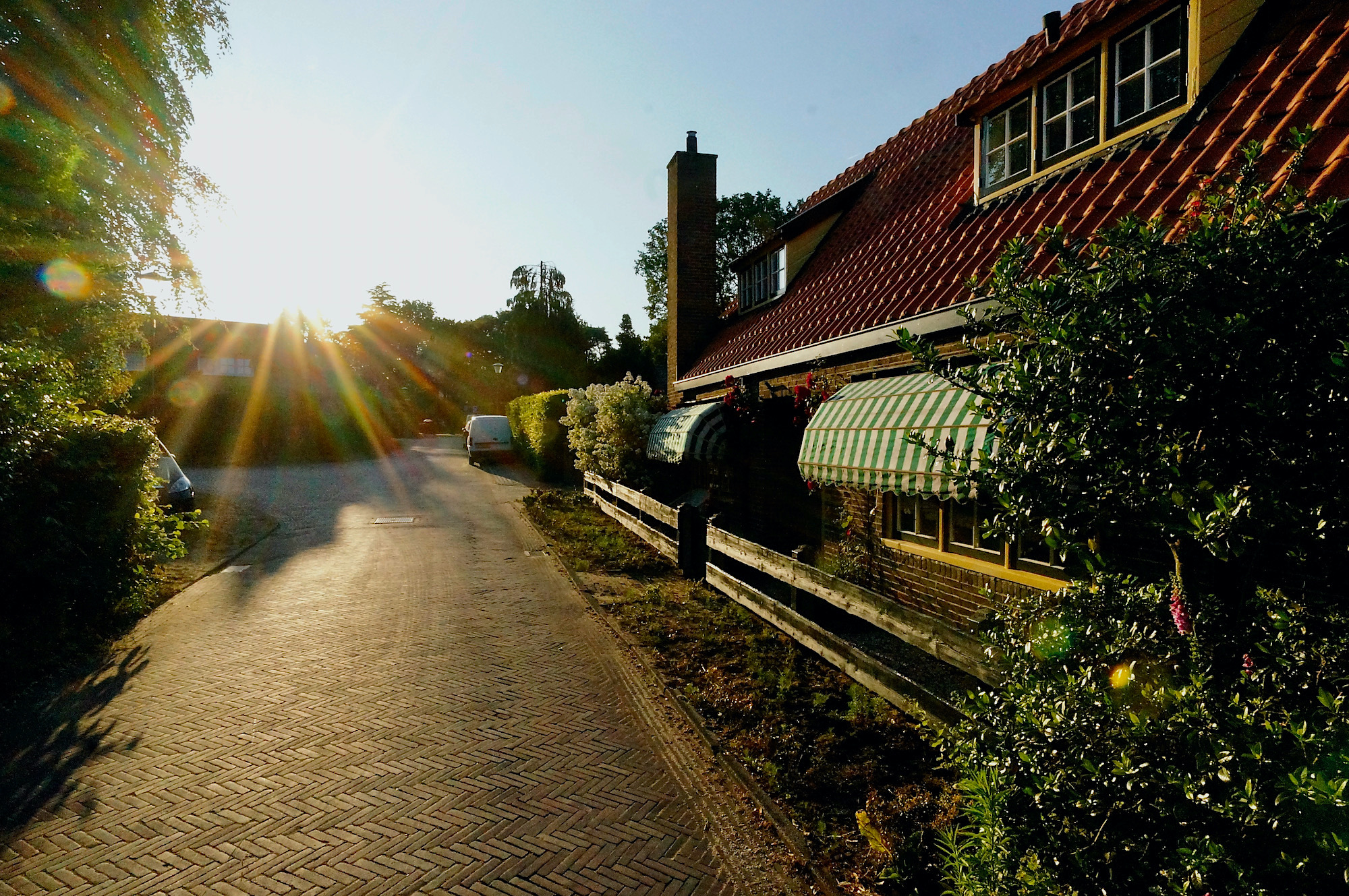 mosselweg avondzon - 1