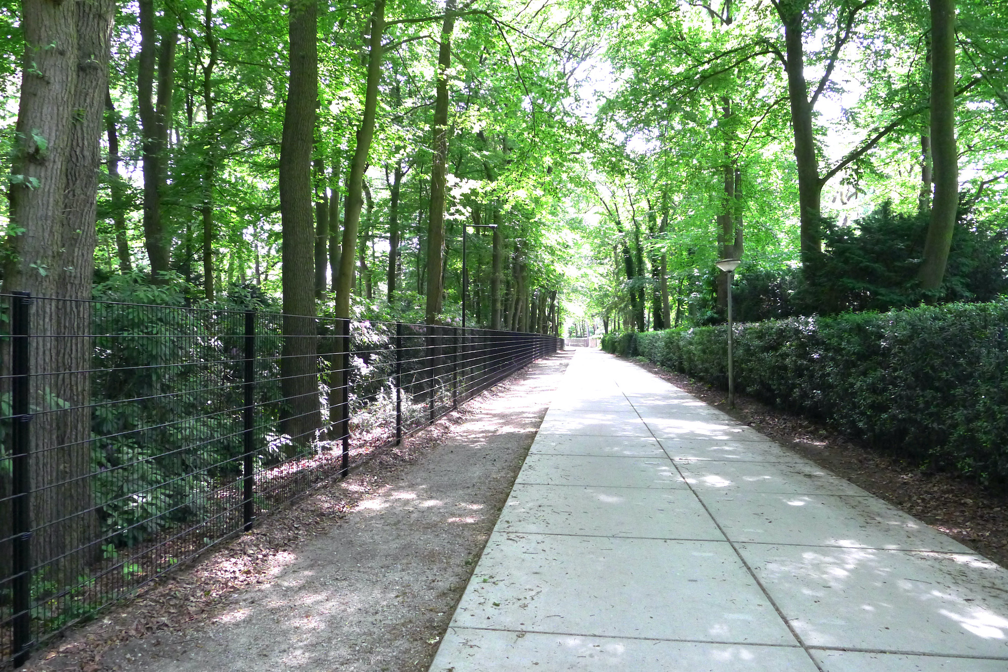 schapendrift hek1 - 1