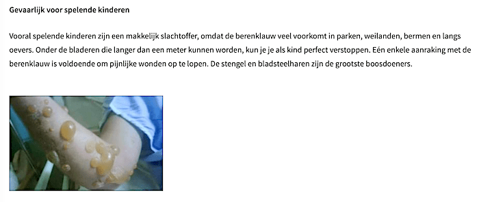 Schermafbeelding 2023-06-22 om 09.11.15