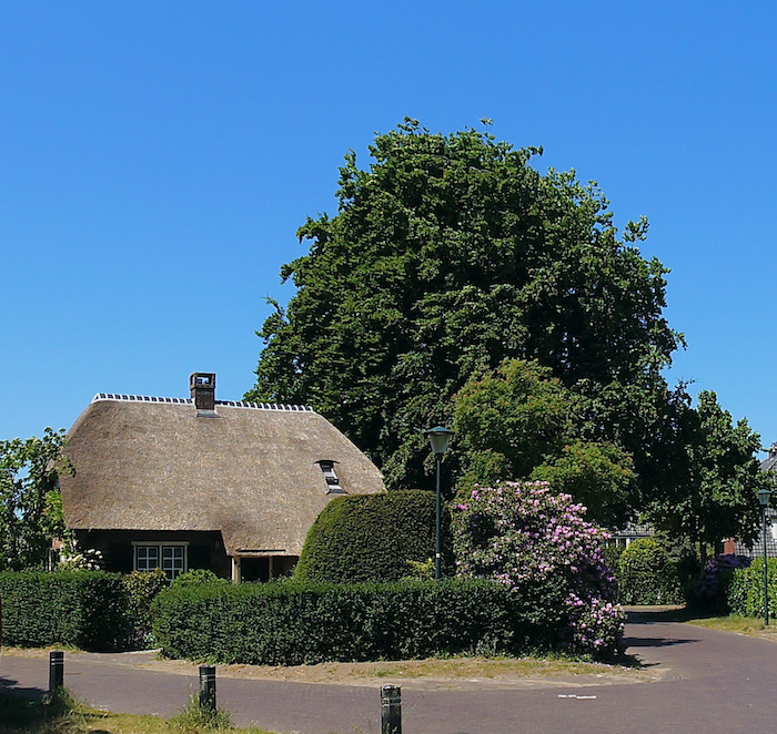 venenwg-stachouwg - 1