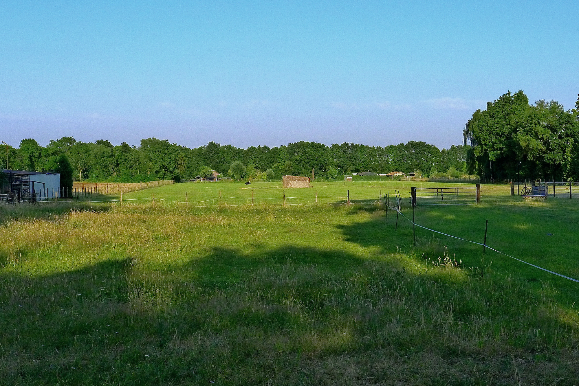 wei schdrift - 1 (1)