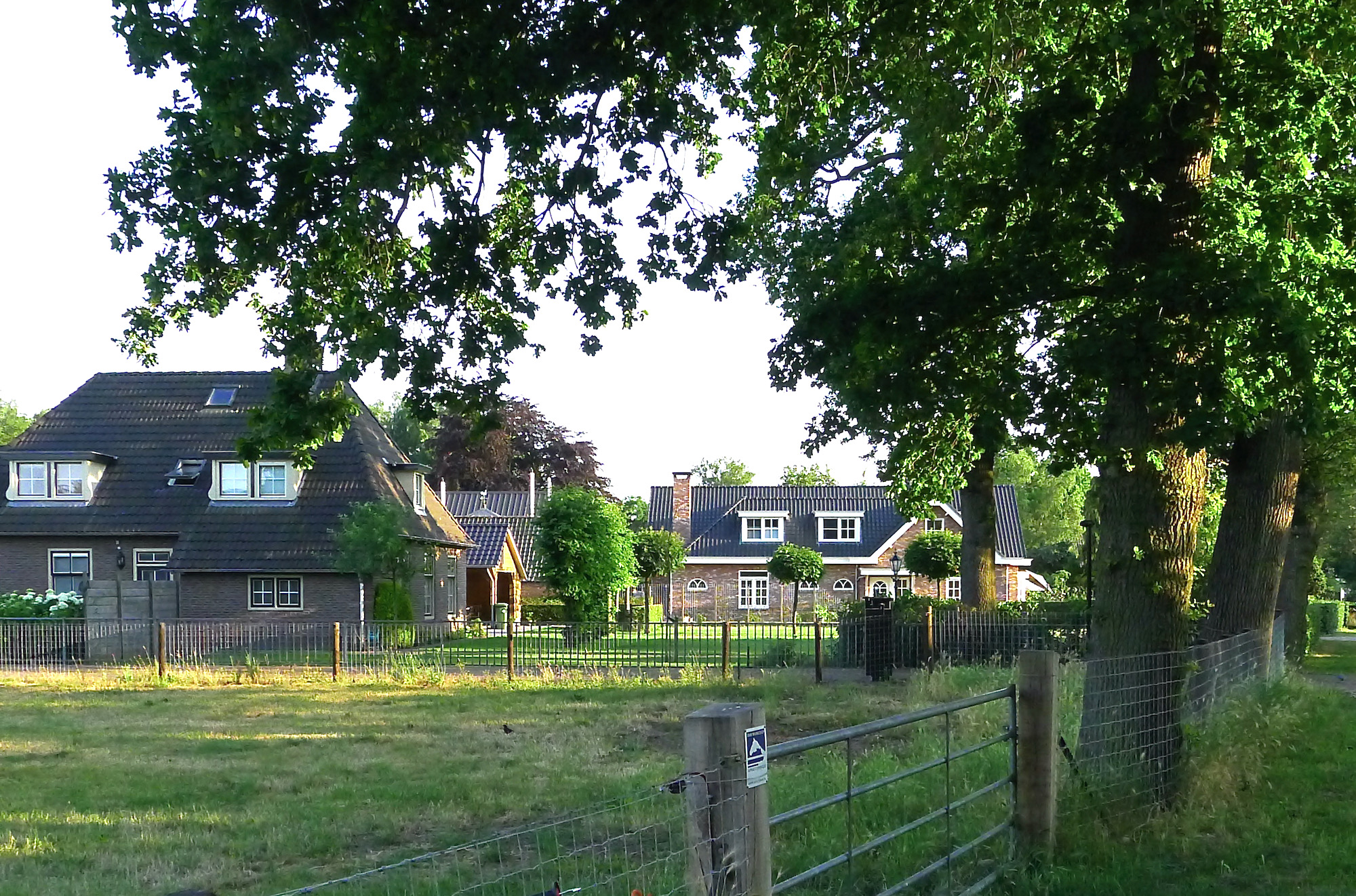 ookhier boerd schdrift - 1