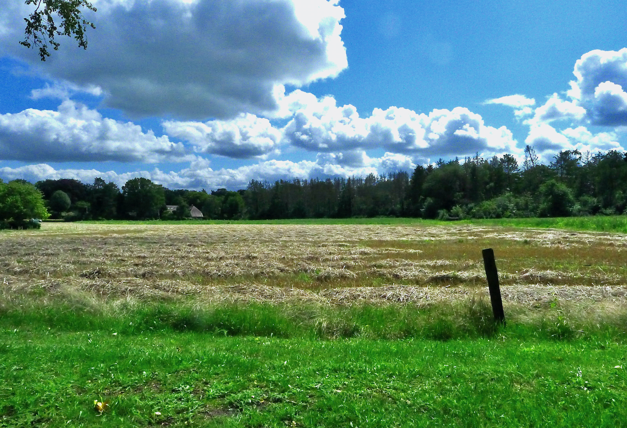 eng noolse wolken - 1