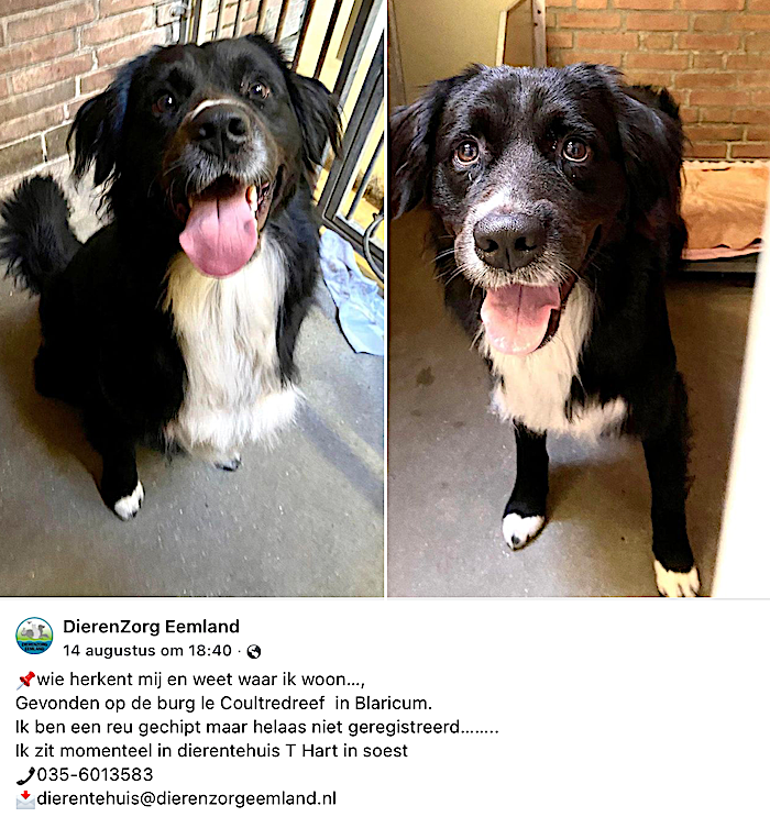 Schermafbeelding 2023-08-17 om 09.11.31