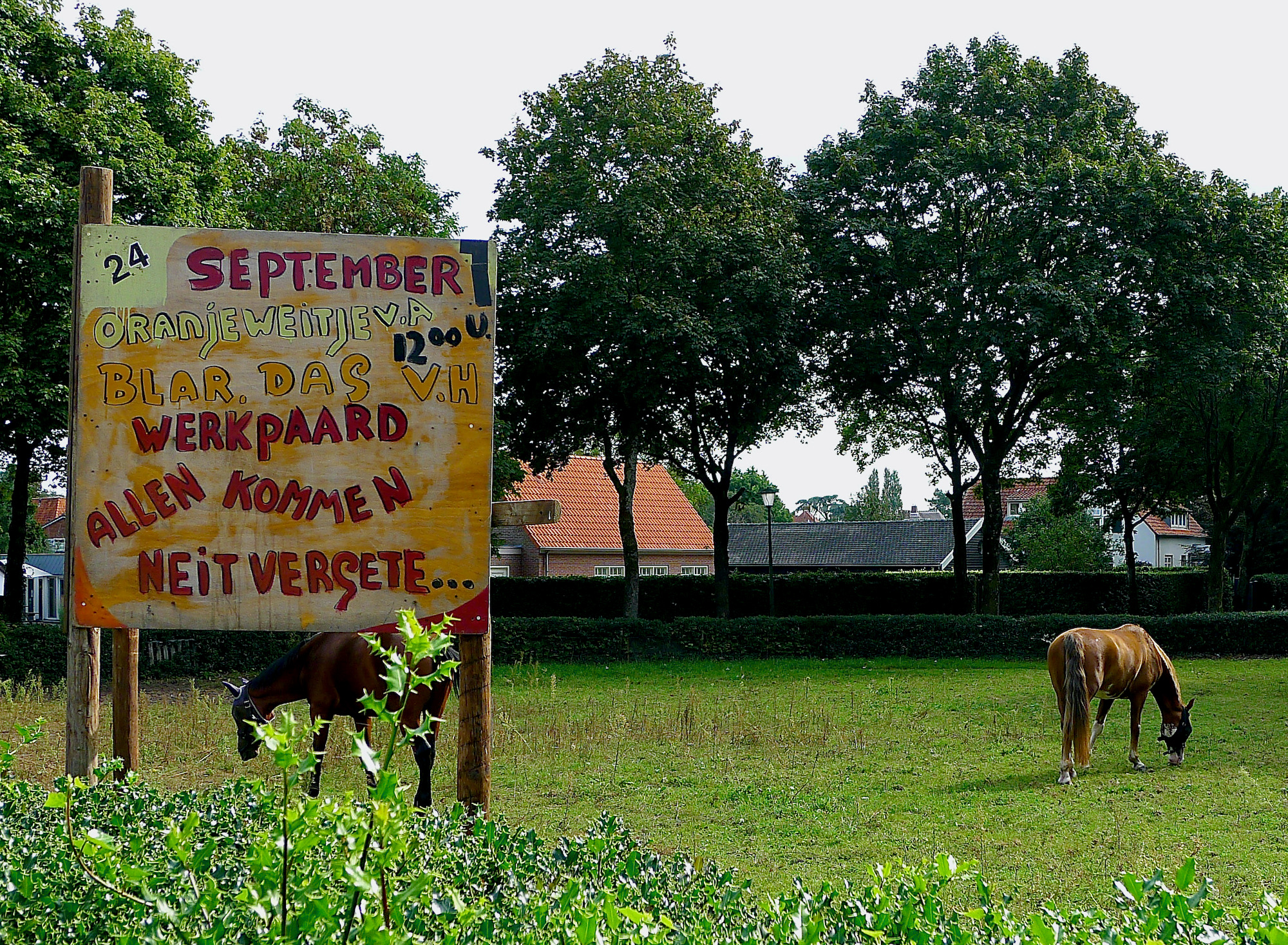 werkpaard-bordwei - 1