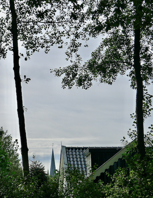 doorkijk vitus bomen - 1