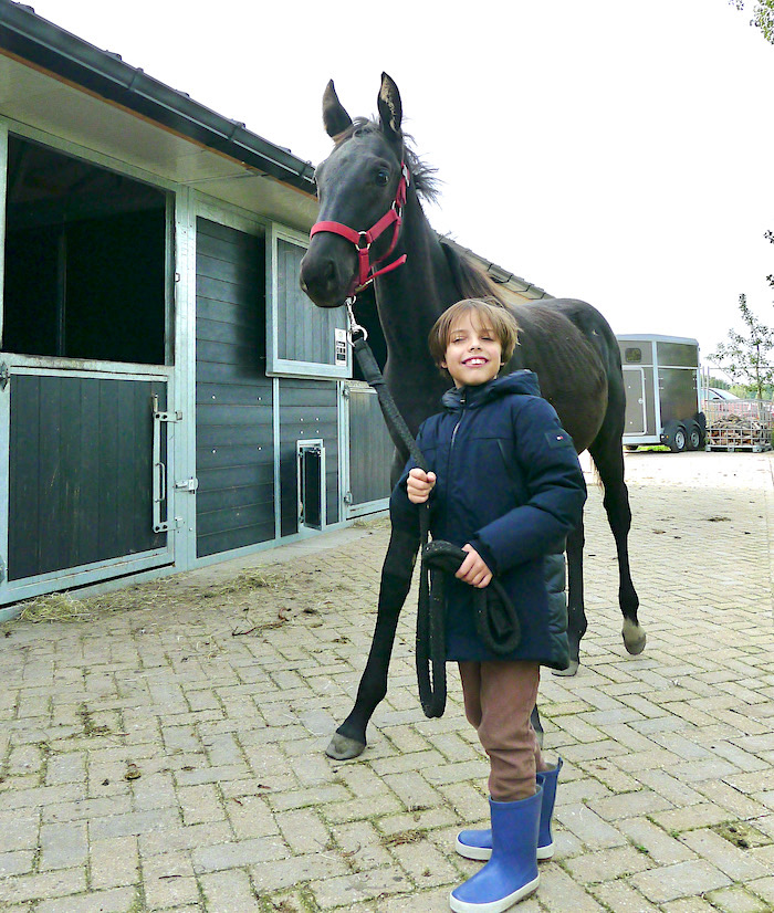 jaimen paard - 1