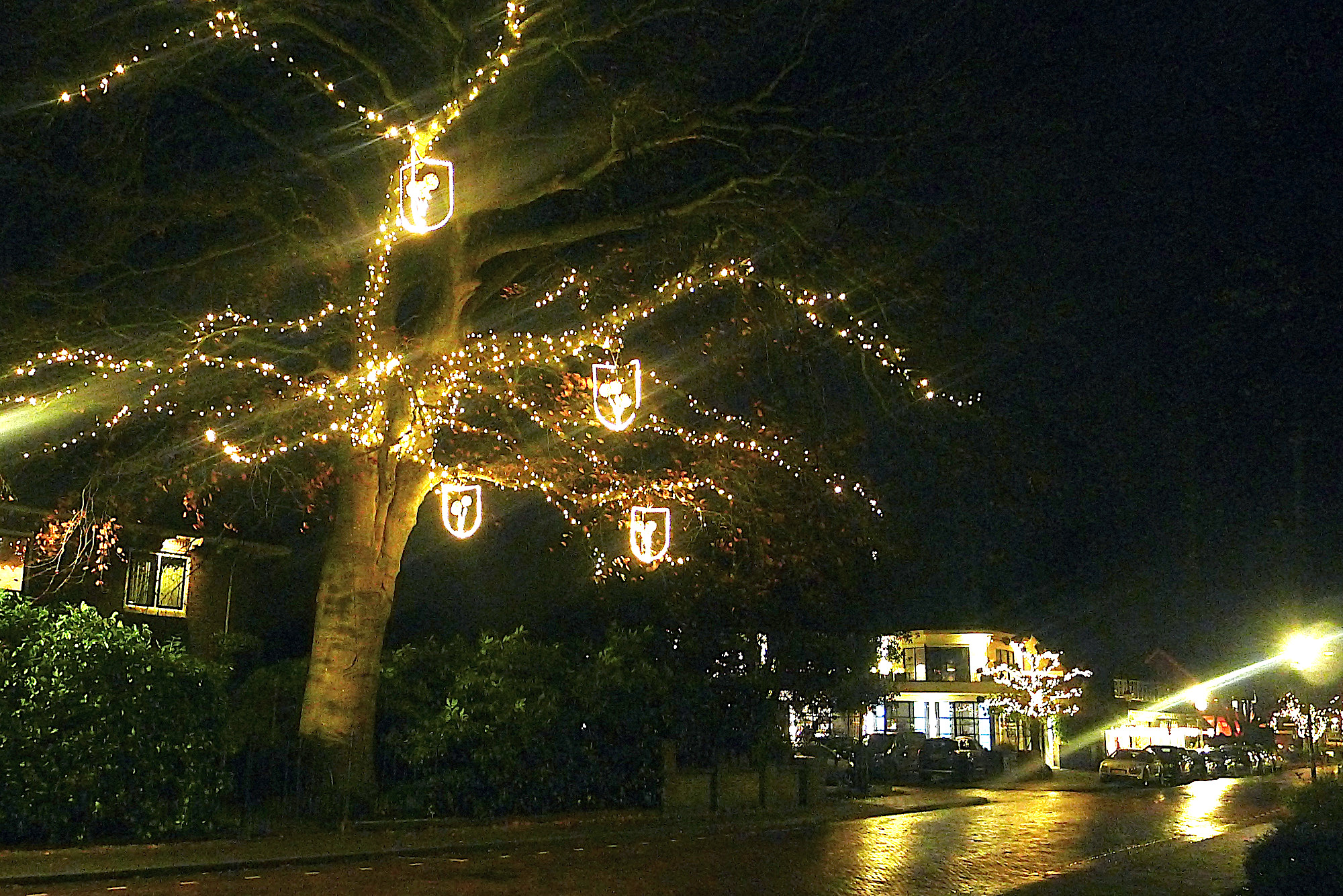 lampjes pastorie - 1