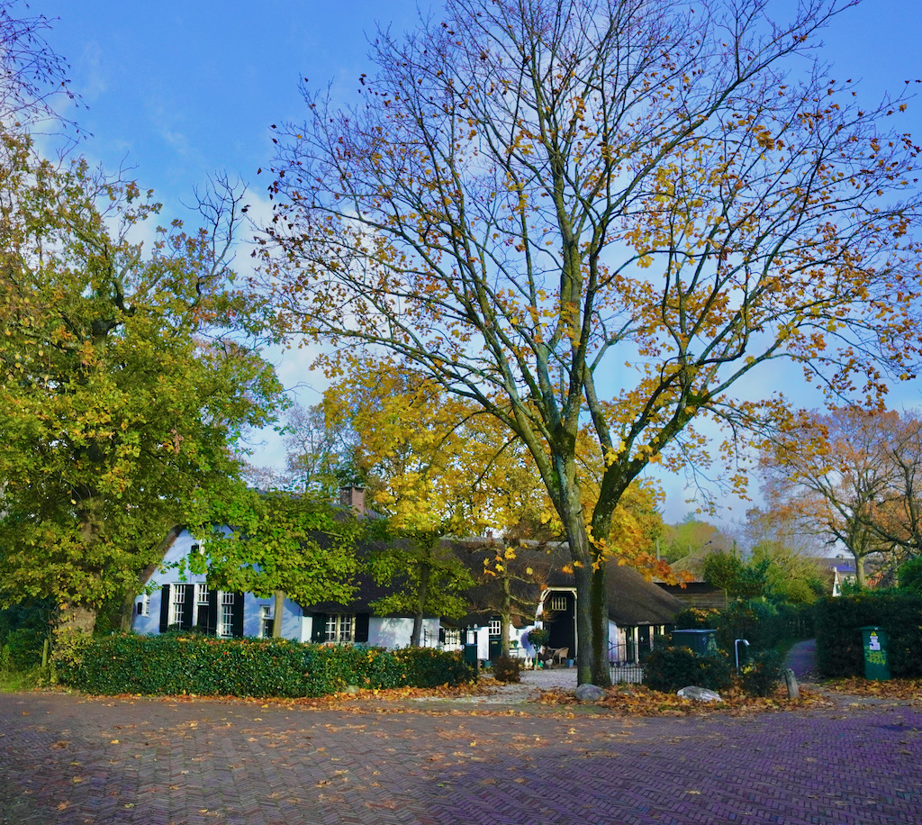 langeweg philips - 1