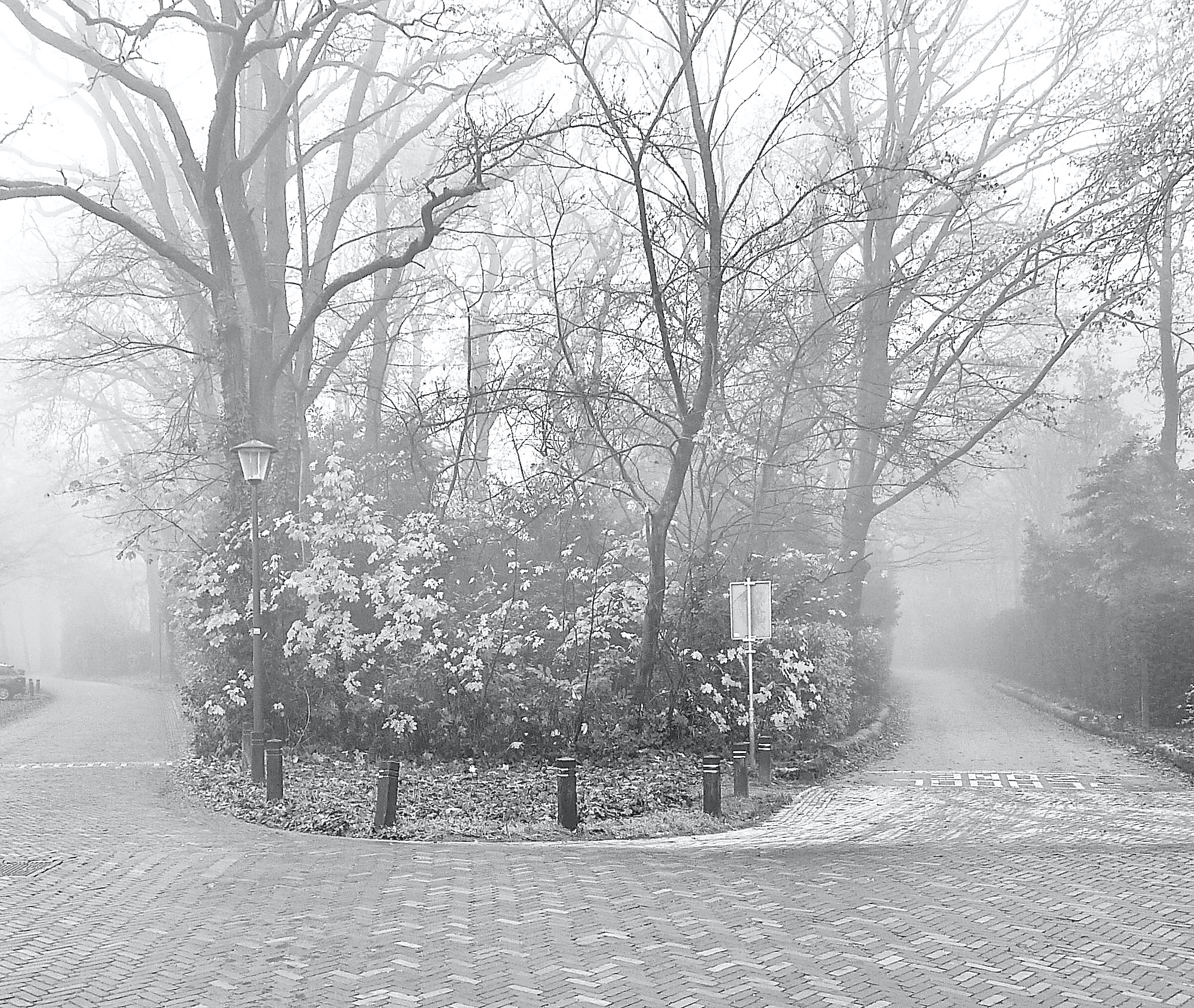 melkwg eemns mist bw - 1