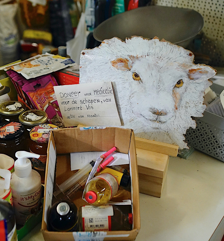 schapen lammert donatie - 1