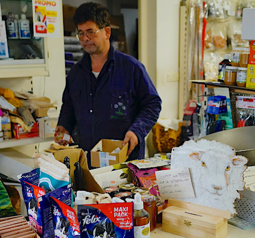 schapen lammert donatie2 - 1