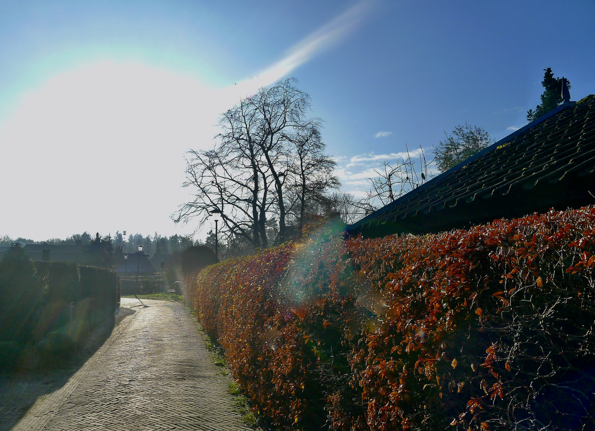 binnendoor tg zon - 1 (1)