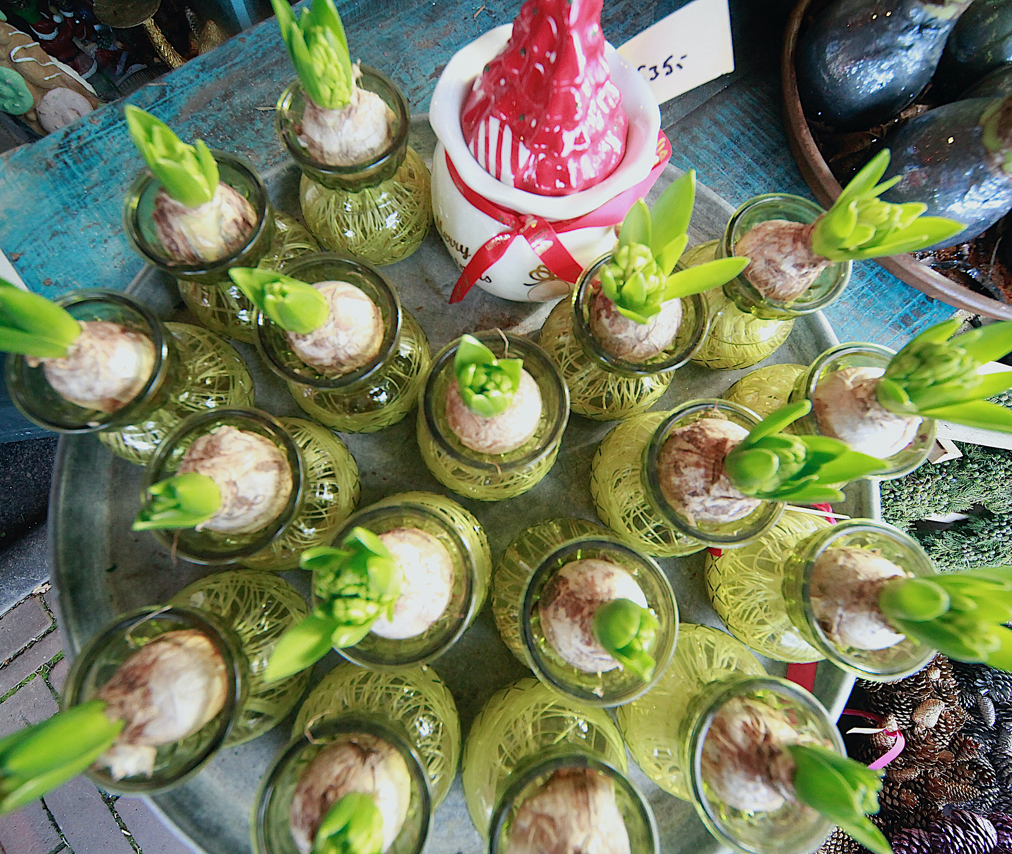 jelle kerst2023 2 - 1