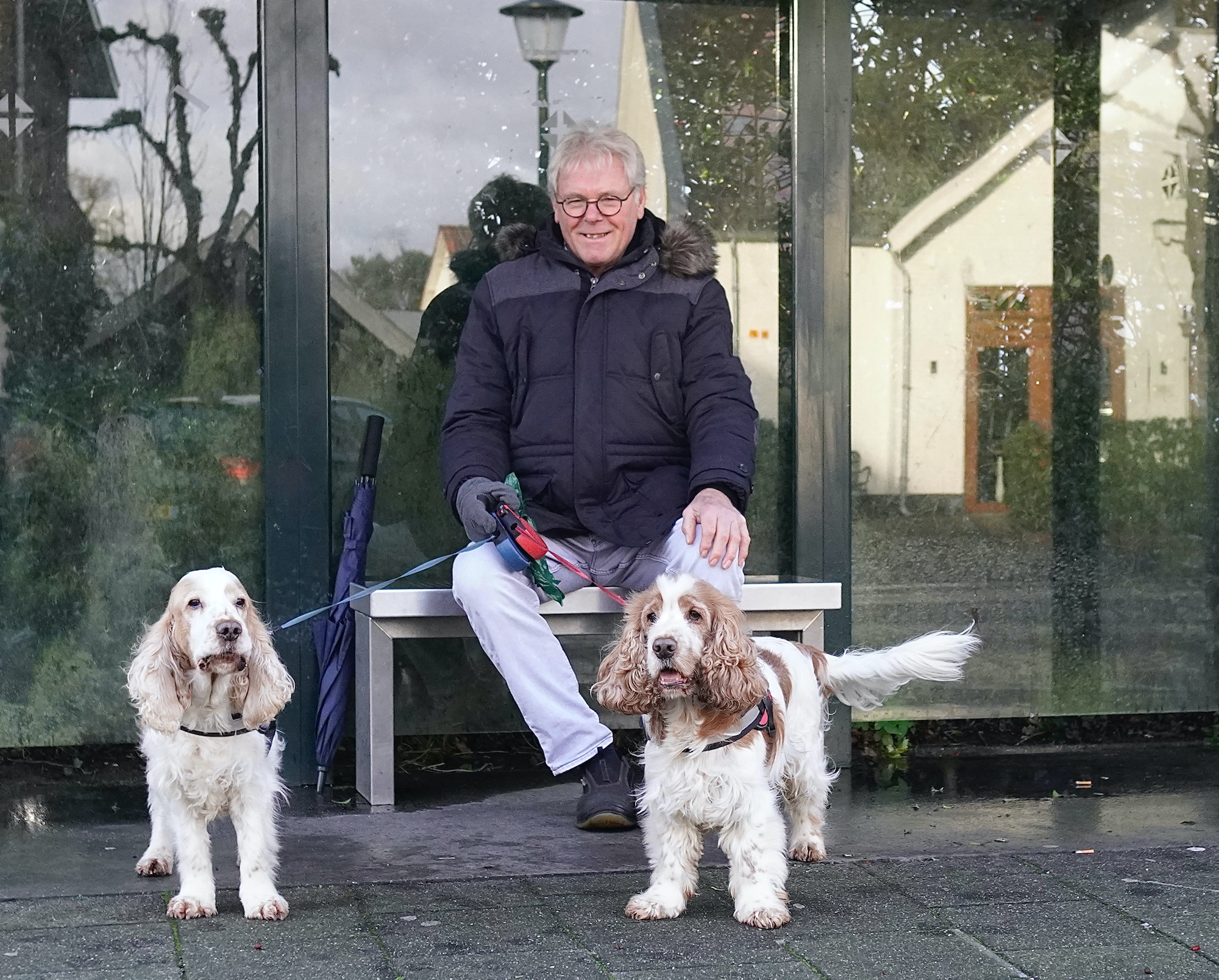 hoi twee honddef - 1