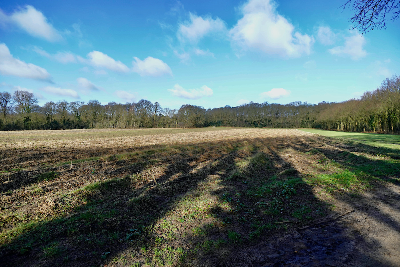 aspakker oerboer - 1