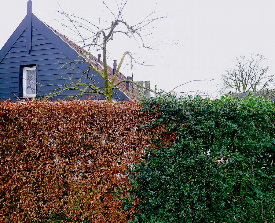 beuk hulst - 1