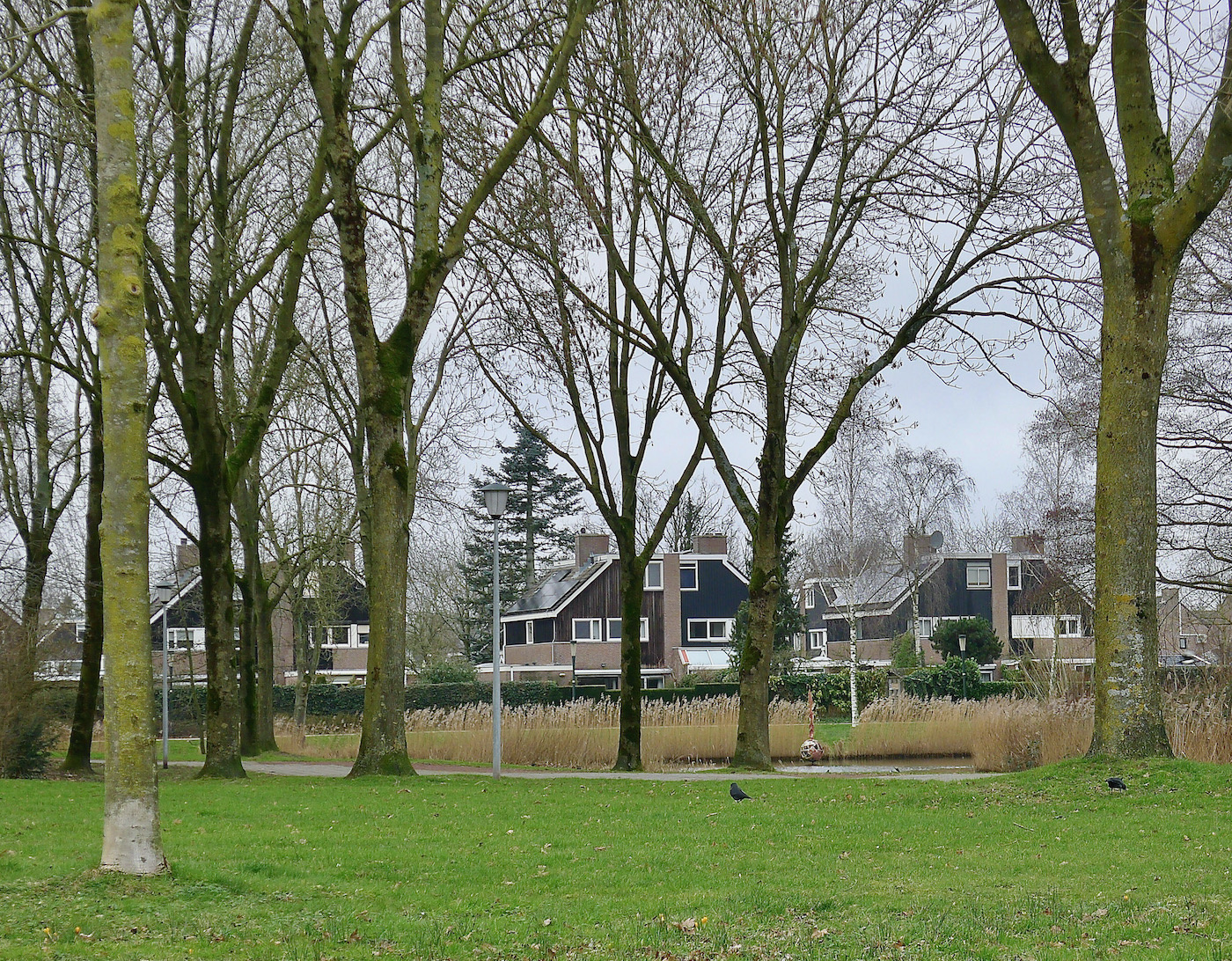 bijvanck huizen park - 1