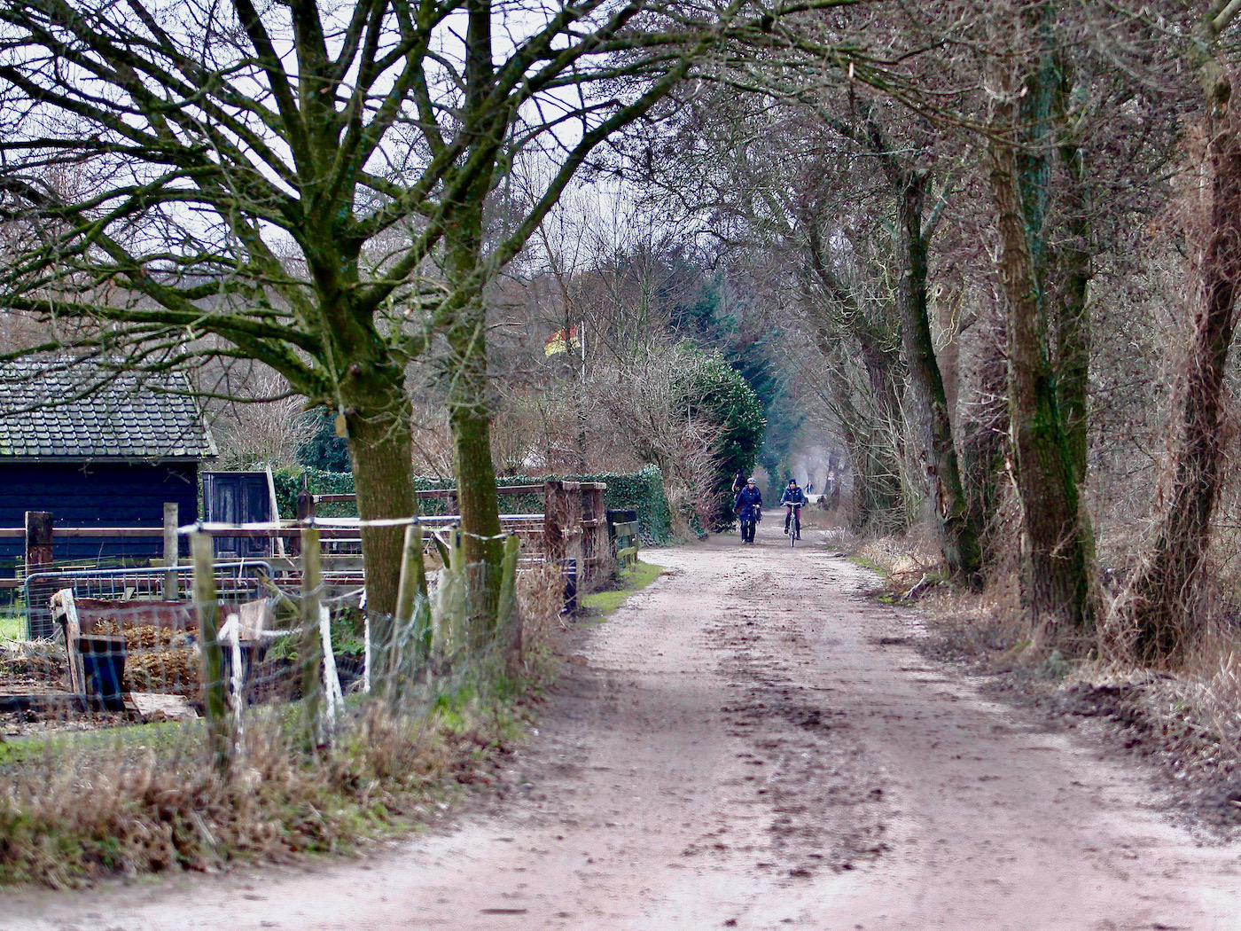 gooiergr paard fietser - 1
