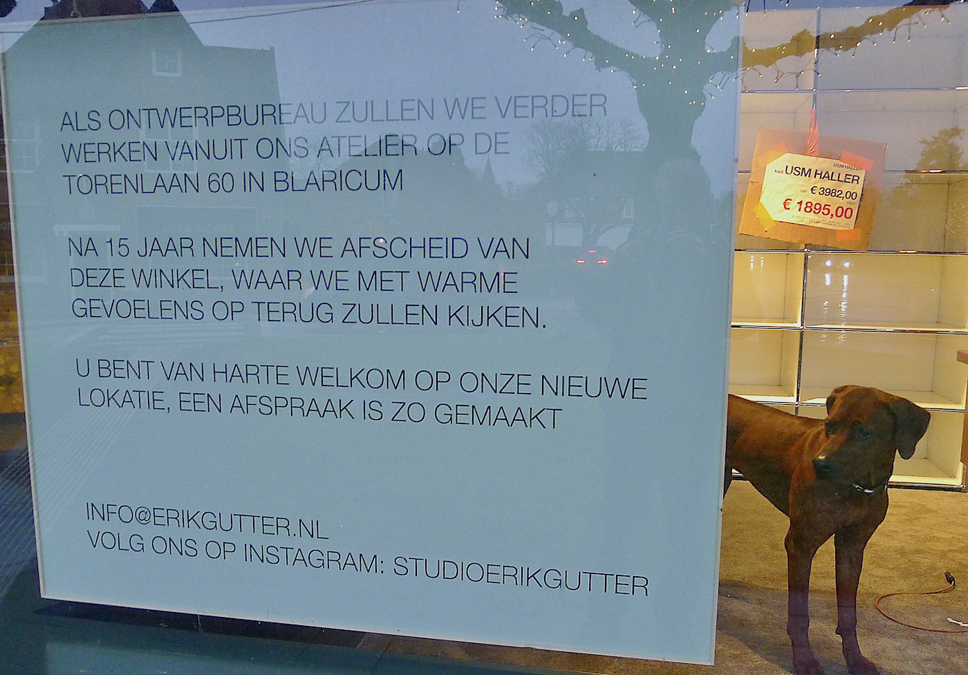 hond gutter - 1