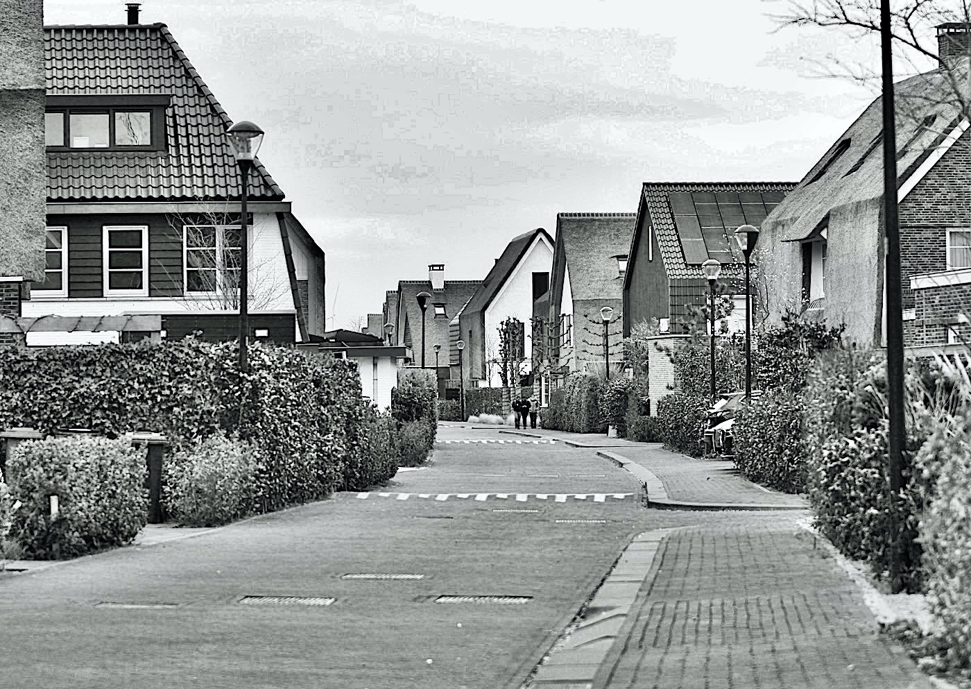 zuiderzeedreef bw - 1