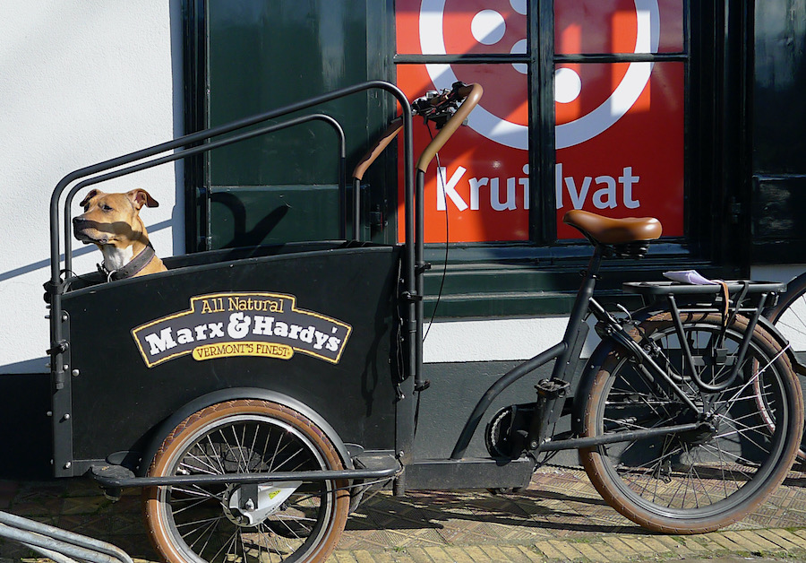hoi bakfiets - 1