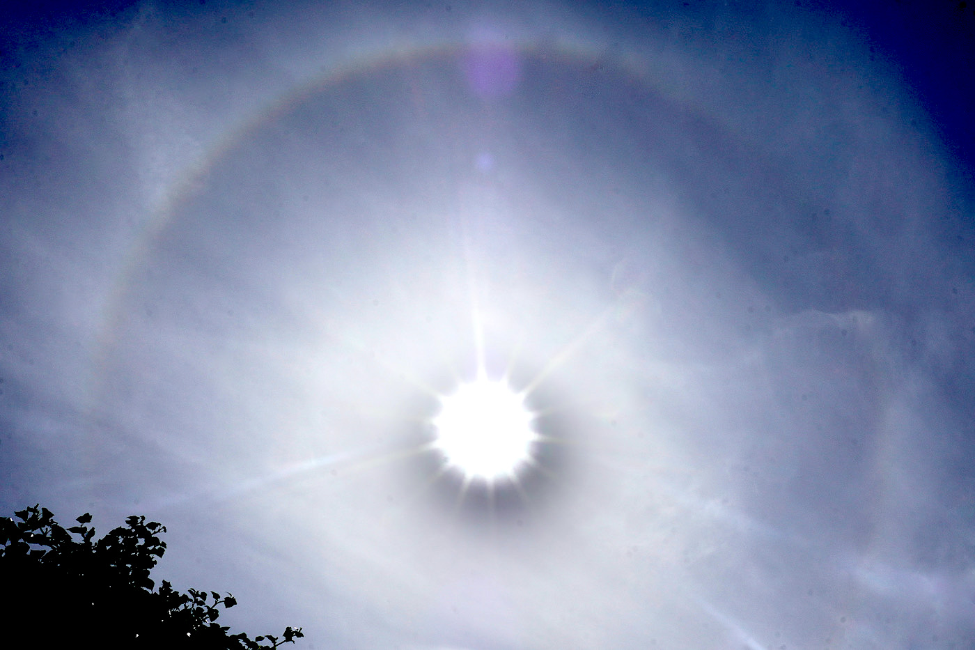 halo - 1